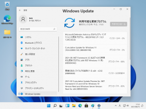 Win11 DEV WindowsUpdate