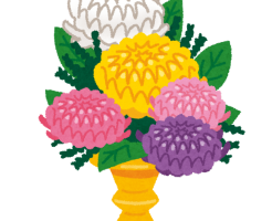 お盆 お彼岸 菊の花